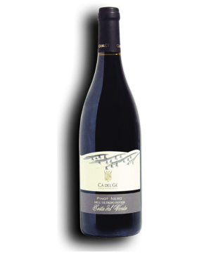 Pinot nero Costa del Vento