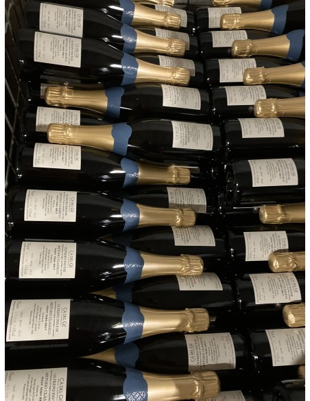 Magnum Spumante Brut millesimato metodo classico 2016