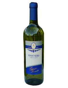 Pinot Nero vinificato in bianco