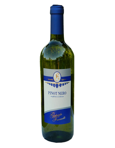 copy of Pinot Rosè spumante metodo Martinotti BIO