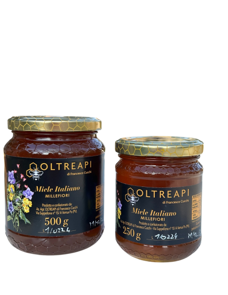 Oltreapi - Miele millefiori estivo 2024